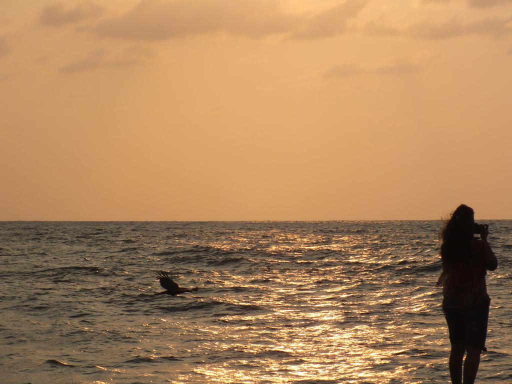 Thoms Beach Homestay Alappuzha Eksteriør billede